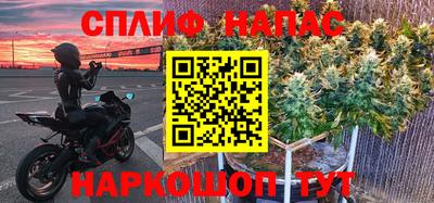 PSILOCYBIN Ярославль