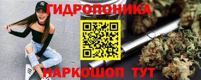 PSILOCYBIN Ярославль