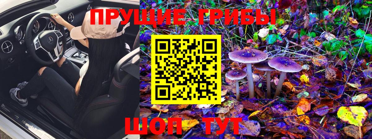 Псилоцибиновые грибы MAGIC MUSHROOMS  Псилоцибиновые грибы мицелий  сколько стоит  Артёмовский  Вход с VPN 