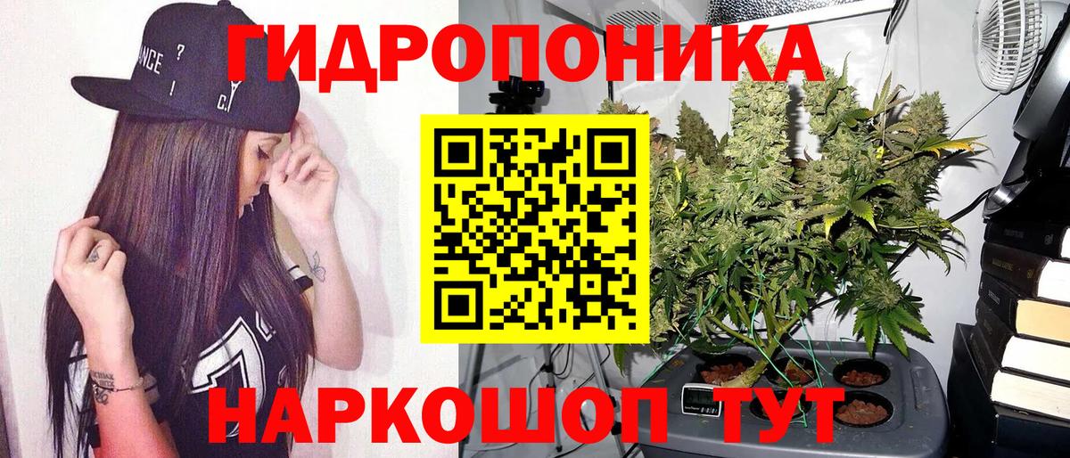 Шишки марихуана тримм  Бошки Шишки сатива  Вход с VPN  Артёмовский  Конопля тримм  Марихуана Ganja 